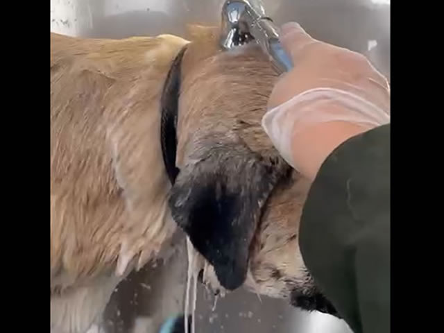 Slide Video